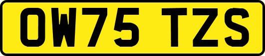 OW75TZS