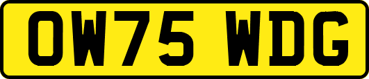 OW75WDG