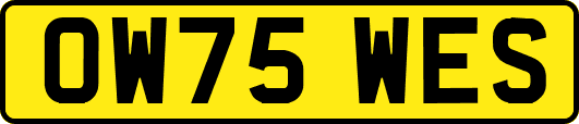 OW75WES