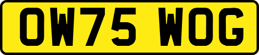 OW75WOG