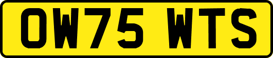 OW75WTS