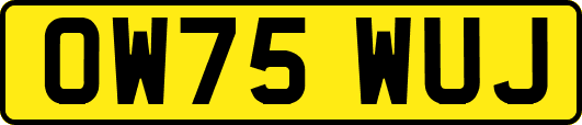 OW75WUJ