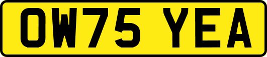 OW75YEA
