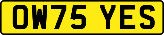 OW75YES