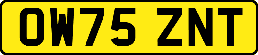 OW75ZNT