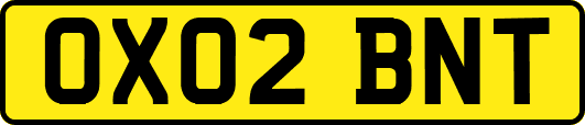 OX02BNT