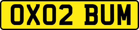OX02BUM