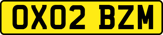 OX02BZM
