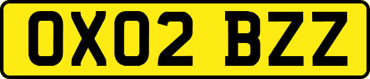 OX02BZZ