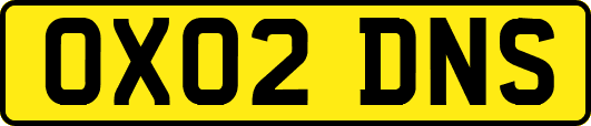 OX02DNS