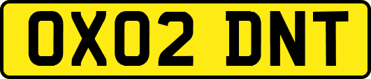 OX02DNT