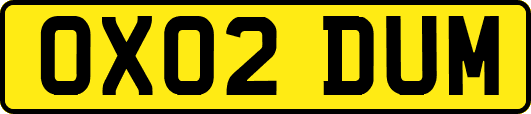 OX02DUM