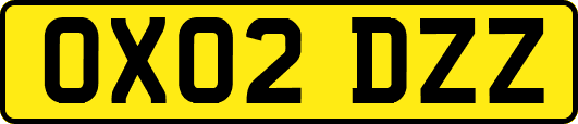 OX02DZZ