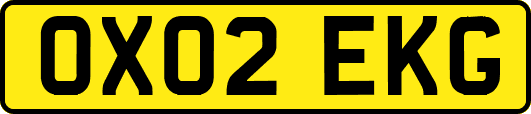 OX02EKG