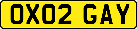 OX02GAY