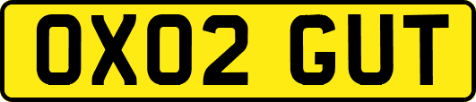 OX02GUT
