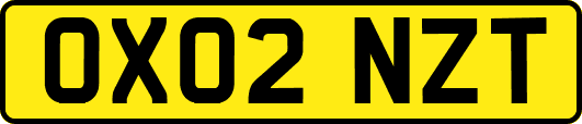 OX02NZT