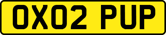 OX02PUP