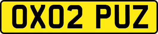 OX02PUZ