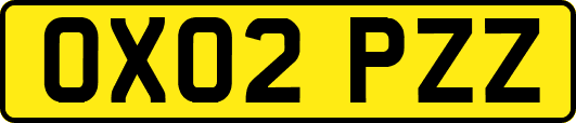 OX02PZZ