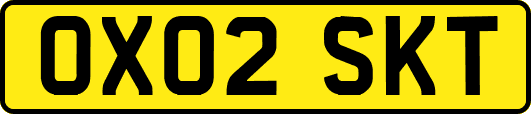 OX02SKT