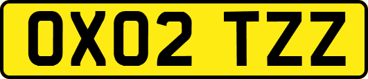 OX02TZZ