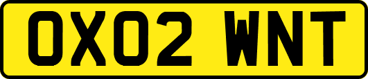 OX02WNT