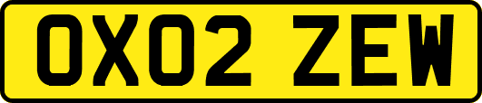 OX02ZEW