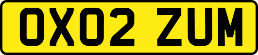 OX02ZUM
