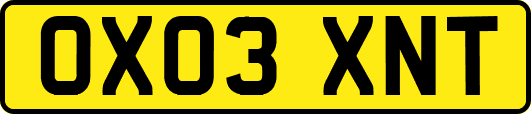 OX03XNT