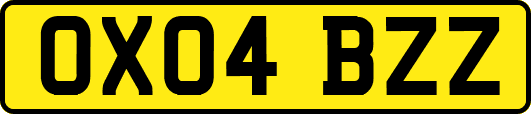 OX04BZZ