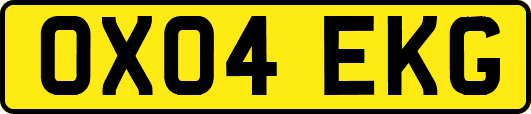 OX04EKG