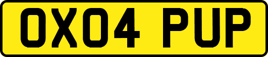 OX04PUP
