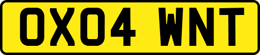 OX04WNT