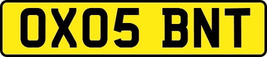 OX05BNT