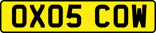 OX05COW