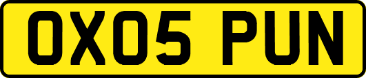 OX05PUN