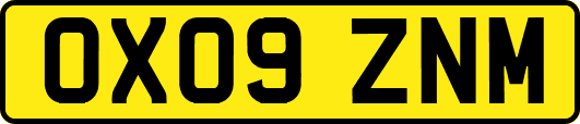 OX09ZNM