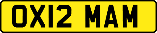 OX12MAM