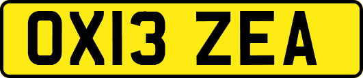 OX13ZEA