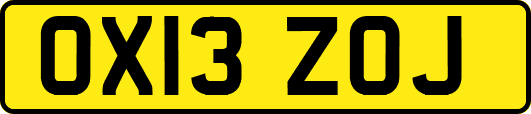 OX13ZOJ