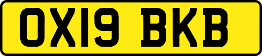 OX19BKB