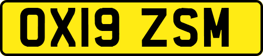 OX19ZSM