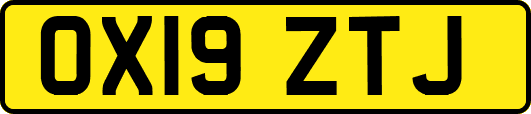 OX19ZTJ