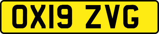 OX19ZVG