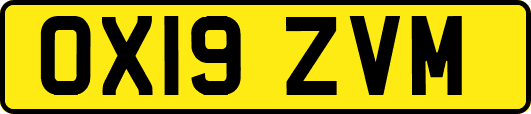 OX19ZVM