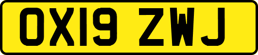 OX19ZWJ