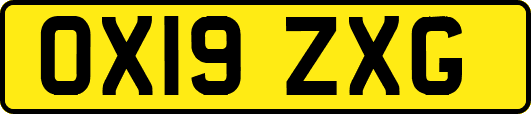 OX19ZXG