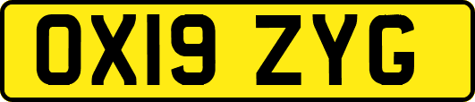 OX19ZYG