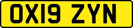 OX19ZYN